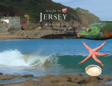 Sealife in Jersey, Hardback Book Sealife in Jersey, Hardback Book