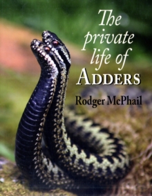 The Private Life of Adders, Hardback Book The Private Life of Adders, Hardback Book
