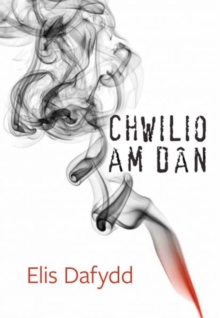 Cyfres Tonfedd Heddiw: Chwilio am Dan, Paperback / softback Book Cyfres Tonfedd Heddiw: Chwilio am Dan, Paperback / softback Book