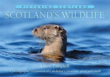 Scotland's Wildlife: Picturing Scotland : A photographic celebration of Caledonia's creatures, great and small, Hardback Book Scotland's Wildlife: Picturing Scotland : A photographic celebration of Caledonia's creatures, great and small, Hardback Book