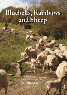Bluebells, Rainbows and Sheep