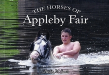 The Horses of Appleby Fair, Paperback / softback Book The Horses of Appleby Fair, Paperback / softback Book
