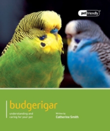 Budgeriegars - Pet Friendly