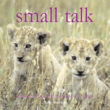 Small Talk