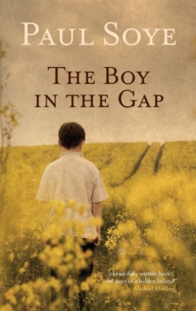 The Boy in the Gap