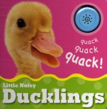 Little Noisy Ducklings, Board book Book Little Noisy Ducklings, Board book Book