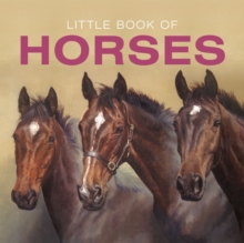 Little Book of Horses, Hardback Book Little Book of Horses, Hardback Book