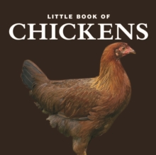 Little Book of Chickens, Hardback Book Little Book of Chickens, Hardback Book