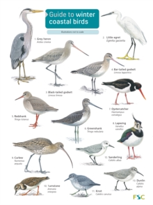 Guide to winter coastal birds 2018  Paperback  Sue Loughran
