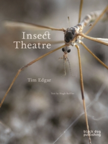Insect Theatre, Paperback / softback Book Insect Theatre, Paperback / softback Book