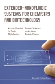 Extended-nanofluidic Systems For Chemistry And Biotechnology