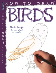 How To Draw Birds