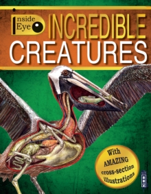 Incredible Creatures, Paperback / softback Book Incredible Creatures, Paperback / softback Book