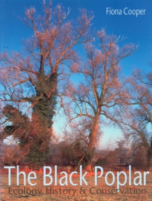 The Black Poplar