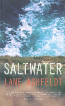 Saltwater, Paperback / softback Book Saltwater, Paperback / softback Book