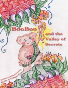 Booboo and the Valley of Secrets, Hardback Book Booboo and the Valley of Secrets, Hardback Book