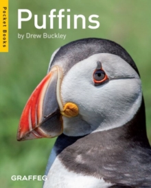 Puffins, Paperback / softback Book Puffins, Paperback / softback Book