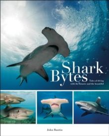 Shark Bytes