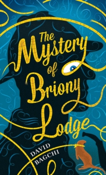 The Mystery of Briony Lodge, Hardback Book The Mystery of Briony Lodge, Hardback Book