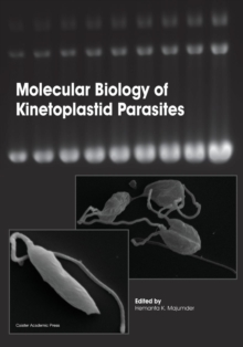 Molecular Biology of Kinetoplastid Parasites, Paperback / softback Book Molecular Biology of Kinetoplastid Parasites, Paperback / softback Book
