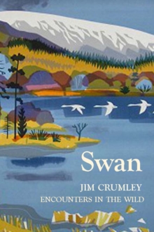 Swan, Hardback Book Swan, Hardback Book