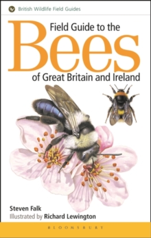 Field Guide to the Bees of Great Britain and Ireland, Paperback Book Field Guide to the Bees of Great Britain and Ireland, Paperback Book