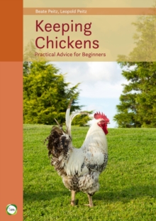 Keeping Chickens : Practical Advice for Beginners, Hardback Book Keeping Chickens : Practical Advice for Beginners, Hardback Book