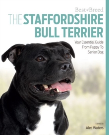 Best of Breed Staffordshire Bull Terrier, Paperback / softback Book Best of Breed Staffordshire Bull Terrier, Paperback / softback Book