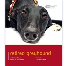 Greyhound : Dog Expert, Paperback Book Greyhound : Dog Expert, Paperback Book
