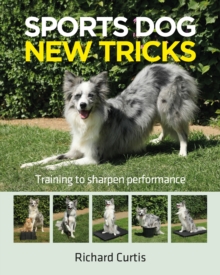 Sports Dog New Tricks : Training to Sharpen Performance