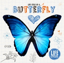 Life Cycle of a Butterfly, Hardback Book Life Cycle of a Butterfly, Hardback Book