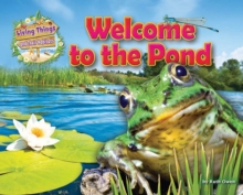 Welcome to the Pond