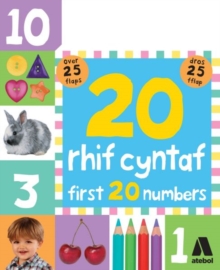 20 Rhif Cyntaf / First 20 Numbers, Hardback Book 20 Rhif Cyntaf / First 20 Numbers, Hardback Book