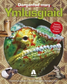 Ymlusgiaid, Paperback / softback Book Ymlusgiaid, Paperback / softback Book