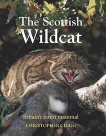 The Scottish Wildcat, Hardback Book The Scottish Wildcat, Hardback Book