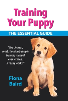 Training Your Puppy