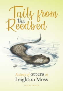 Tails from the Reedbed : A study of otters at Leighton Moss