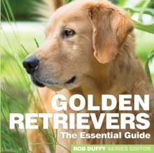 ESSENTIAL GUIDE TO GOLDEN RETRIEVERS, Paperback Book ESSENTIAL GUIDE TO GOLDEN RETRIEVERS, Paperback Book