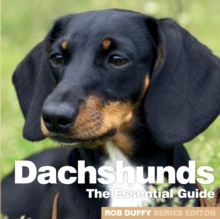 ESSENTIAL GUIDE TO DACHSHUNDS, Paperback Book ESSENTIAL GUIDE TO DACHSHUNDS, Paperback Book