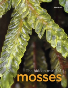 The Hidden World of Mosses