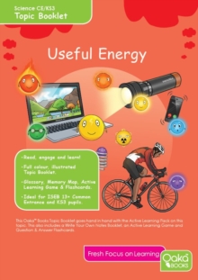 USEFUL ENERGY, Paperback Book USEFUL ENERGY, Paperback Book