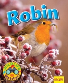 Wildlife Watchers: Robin