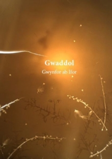 Gwaddol, Paperback / softback Book Gwaddol, Paperback / softback Book