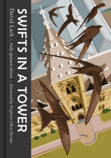 Swifts in a Tower, Hardback Book Swifts in a Tower, Hardback Book