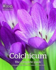 Colchicum: The Complete Guide