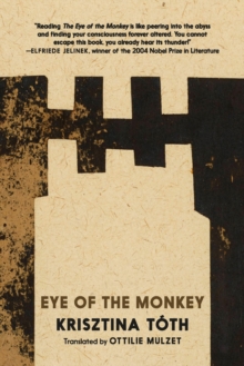 Seven Stories Press Ltd Eye Of The Monkey