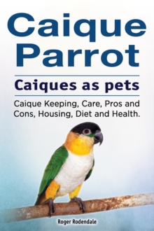 Caique parrot. Caiques as pets. Caique Keeping, Care, Pros and Cons, Housing, Diet and Health.