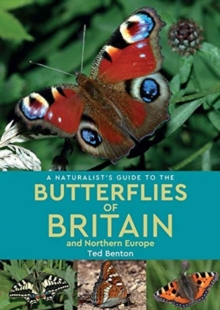A Naturalist's Guide to the Butterflies of Britain and Northern Europe (2nd edition), Paperback / softback Book A Naturalist's Guide to the Butterflies of Britain and Northern Europe (2nd edition), Paperback / softback Book