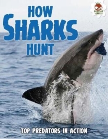 Shark! How Sharks Hunt, Paperback Book Shark! How Sharks Hunt, Paperback Book