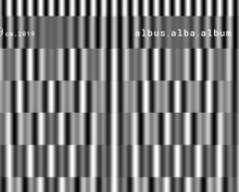 Albus Alba Album, Hardback Book Albus Alba Album, Hardback Book